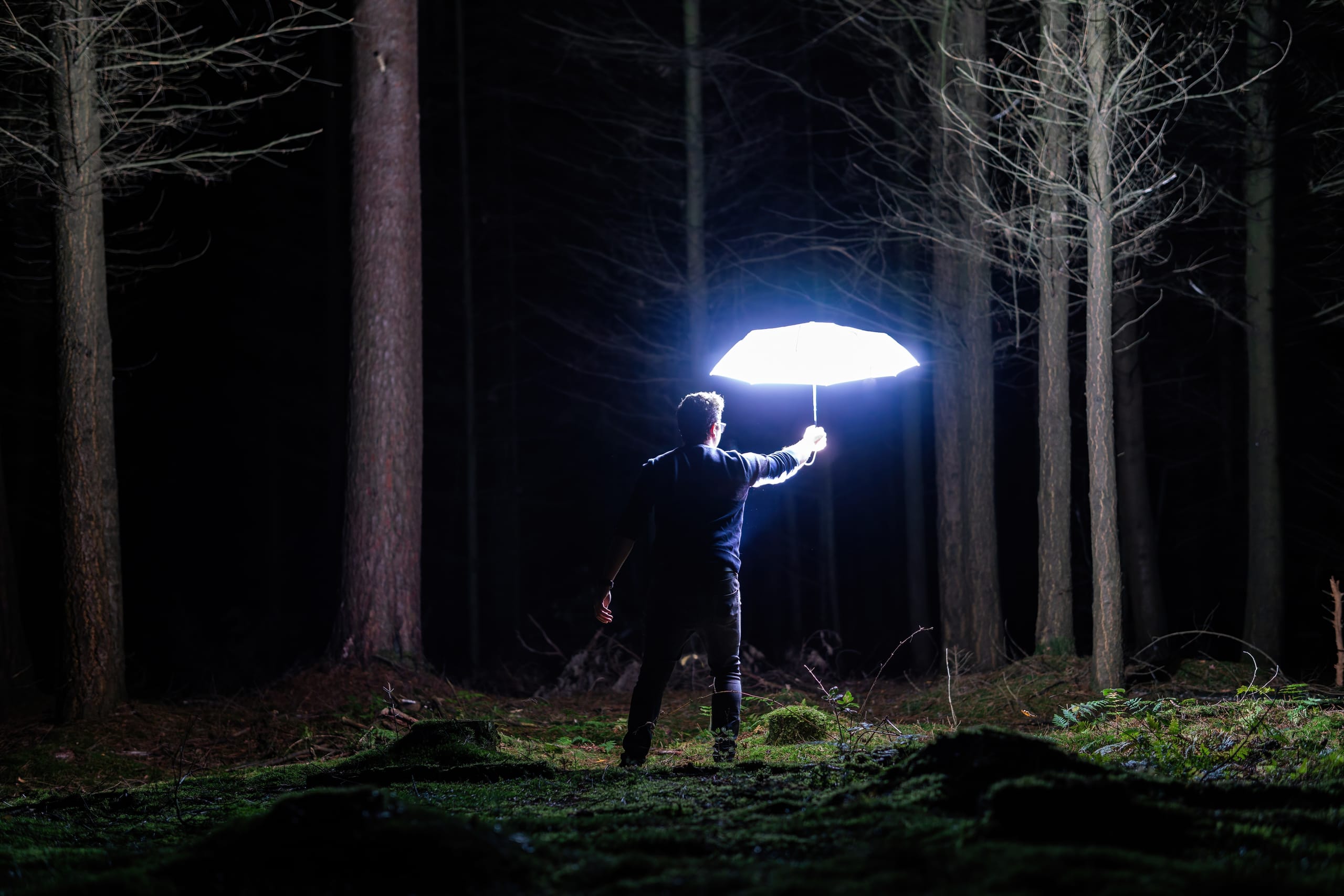 Person im nächtlichen Wald hält einen von innen leuchtenden Regenschirm